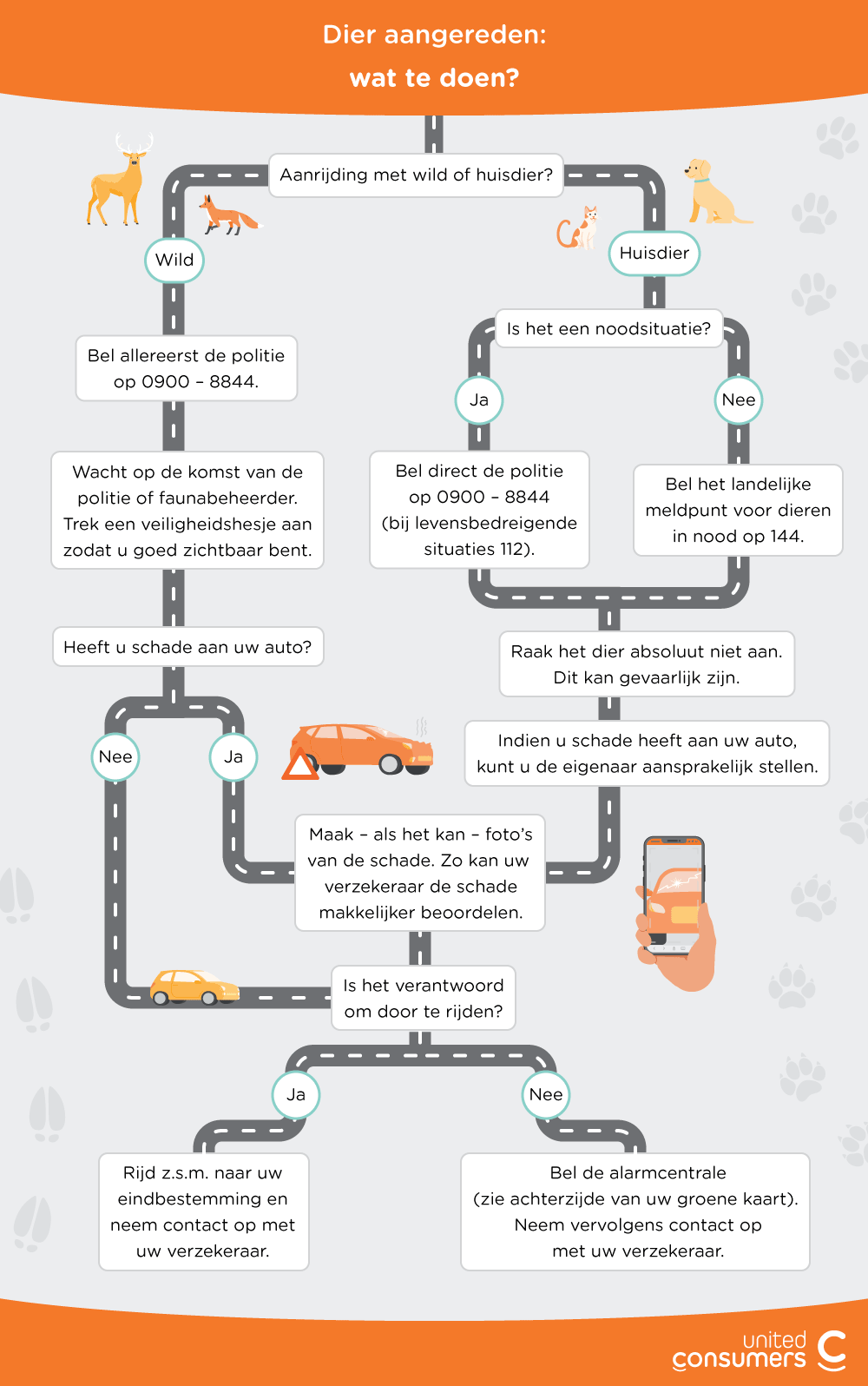 infographic dier aangereden