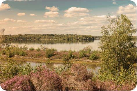 maasduinen